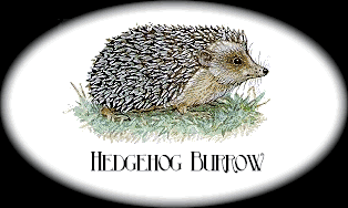 Visit the Hedgehog Burrow