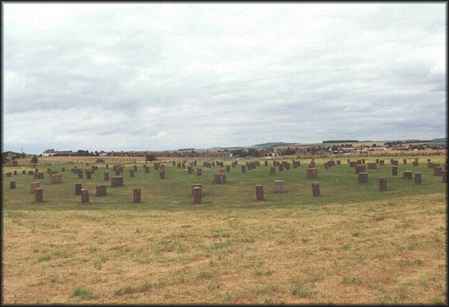 woodhenge.jpg (12195 bytes)